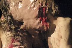 sagazanhybridation